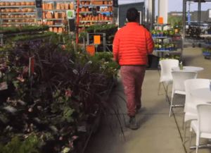 It's a jungle out there