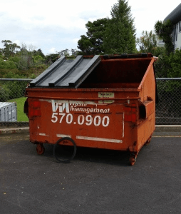 murder skip (probably)