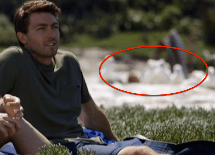 Screen Shot 2015-04-22 at 5.54.42 pm