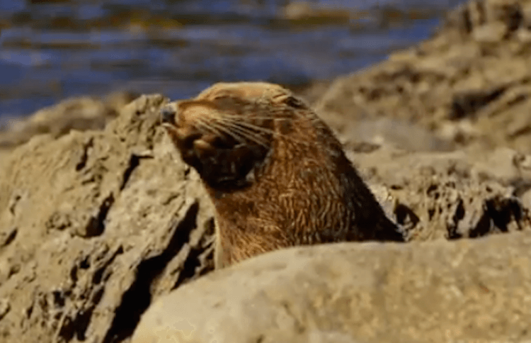 Screen Shot 2015-04-22 at 8.09.34 pm