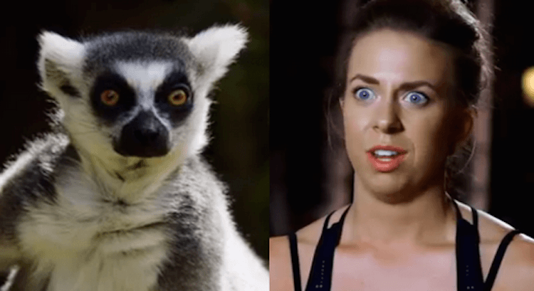 Screen Shot 2015-04-23 at 10.13.13 am