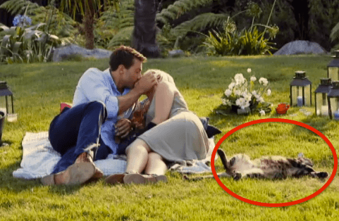 Screen Shot 2015-04-23 at 7.16.37 am