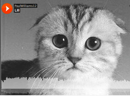 Music Monday: Exclusive – The First and Surely Only Original Song Inspired by X Factor NZ – ‘Lili’ by Paul Williams