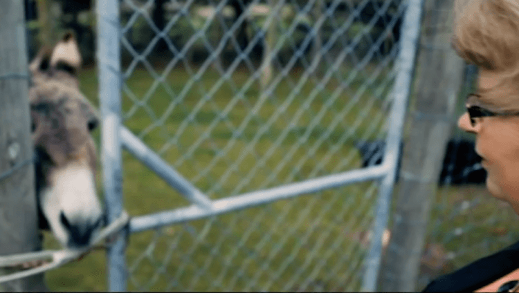 Screen Shot 2015-07-16 at 10.07.06 am