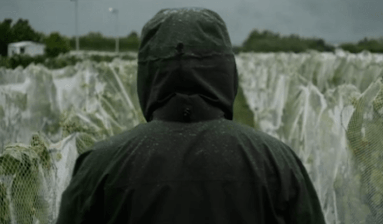 Screen Shot 2015-07-16 at 10.12.25 am