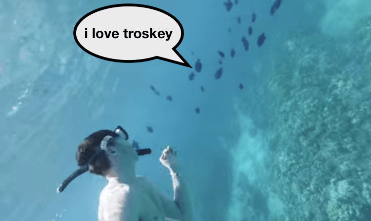 Screen Shot 2015-07-20 at 9.15.07 am