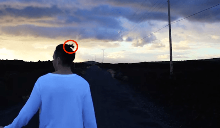 Screen Shot 2015-07-20 at 9.16.27 am