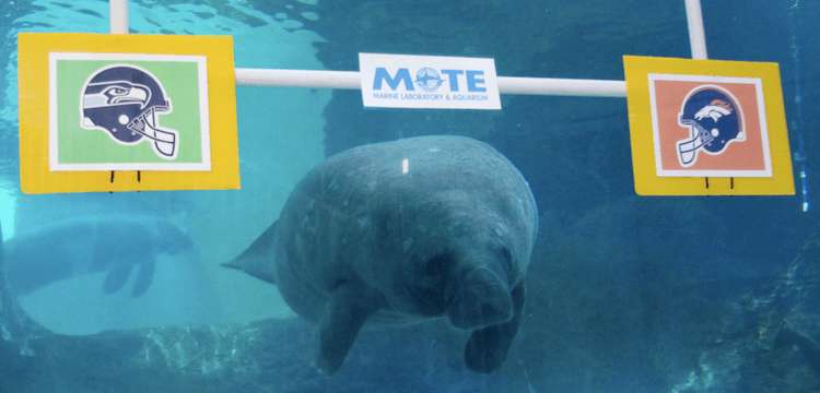 Screen shot 2015-09-18 at 12.10.39 PM