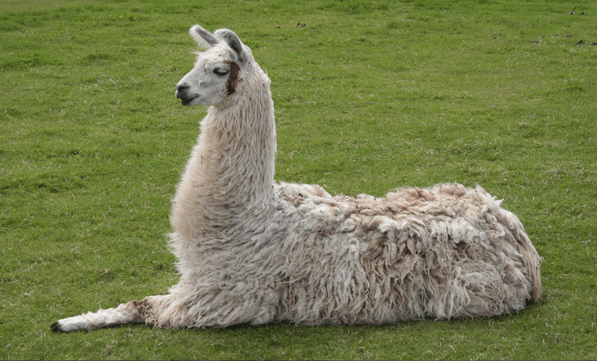 Screen shot 2015-09-18 at 12.19.21 PM