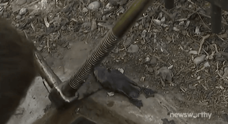 Screen shot 2015-10-16 at 11.24.54 AM