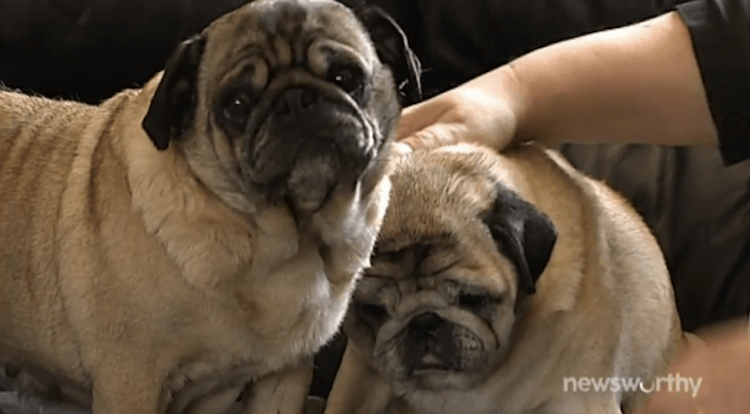 Screen shot 2015-10-17 at 7.12.47 PM