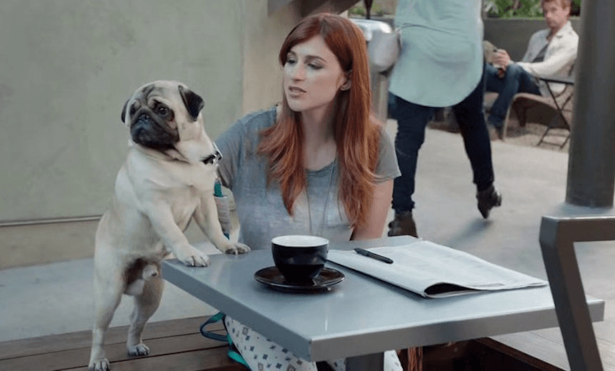 Television: Who’s a Good Boy? Counting Down TV’s Top Dogs of 2015