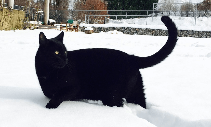 Books: The Year of Jane Bloomfield