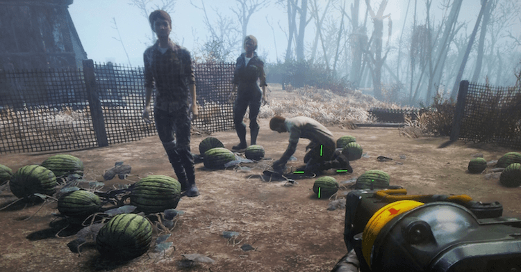 The Abernathy family hard at work harvesting their melon crop.