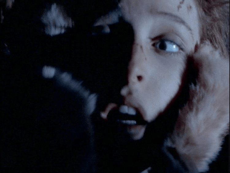 x-files-teso-dos-bichos