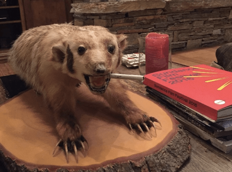 Screen Shot 2016-02-11 at 3.45.22 PM