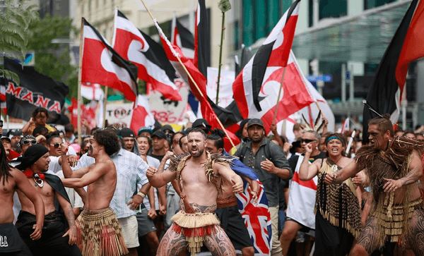 The very loud minority – inside the TPPA protests