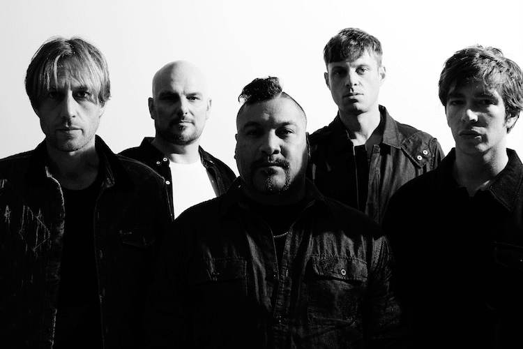 Shapeshifter (photo: supplied)