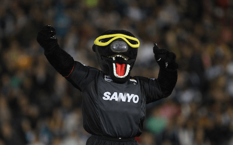 This is not a cat. (Photo: Getty Images)