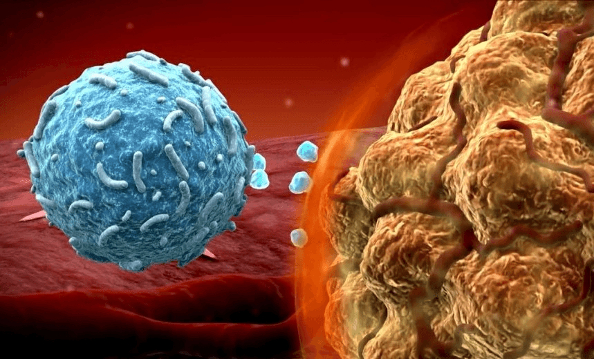 Pembrolizumab+1_8015d95e-9f56-447c-8324-be21d0cb6fc0-prv