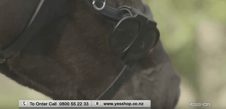 Screen Shot 2016-03-08 at 12.06.25 PM