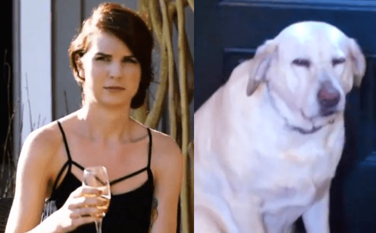 Screen Shot 2016-03-28 at 9.52.25 pm