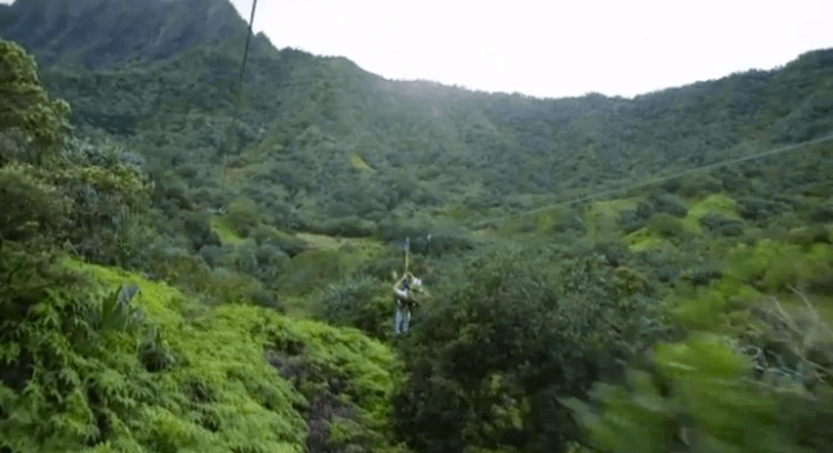 imageedit_123_7485859807