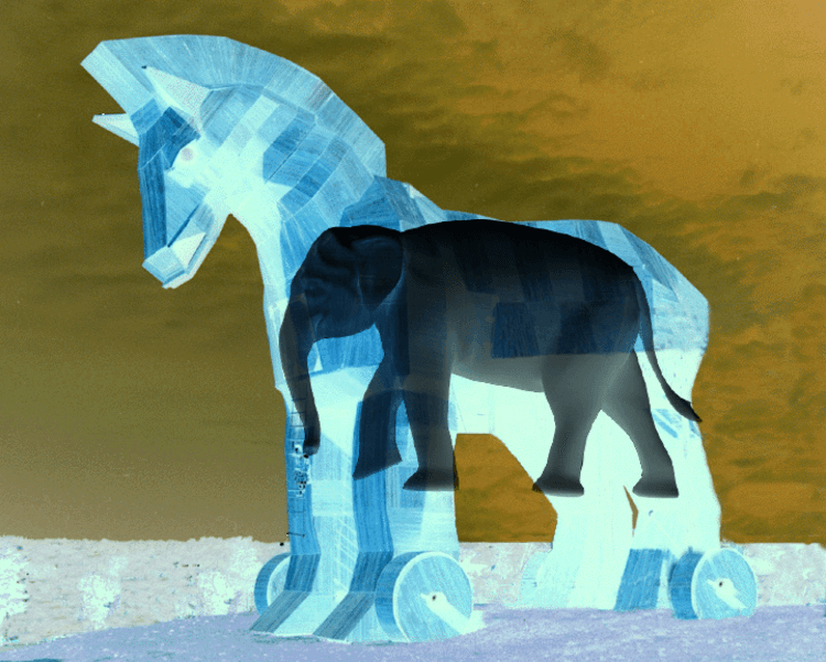 imageedit_52_8885862905