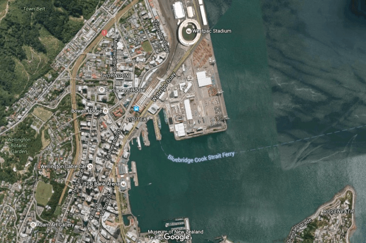 imageedit_54_3586173426