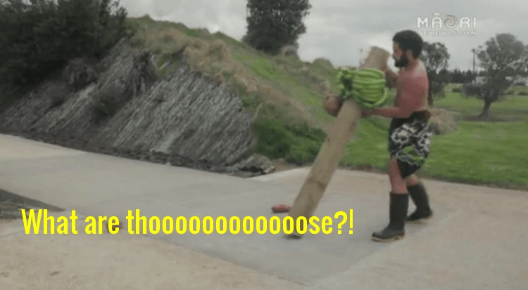 imageedit_197_4332007158