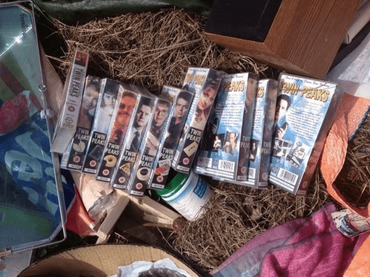 imageedit_283_3499442037