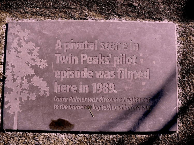 imageedit_320_9856745418