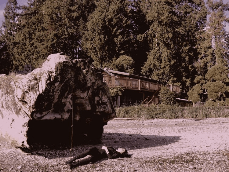 imageedit_322_5685222022