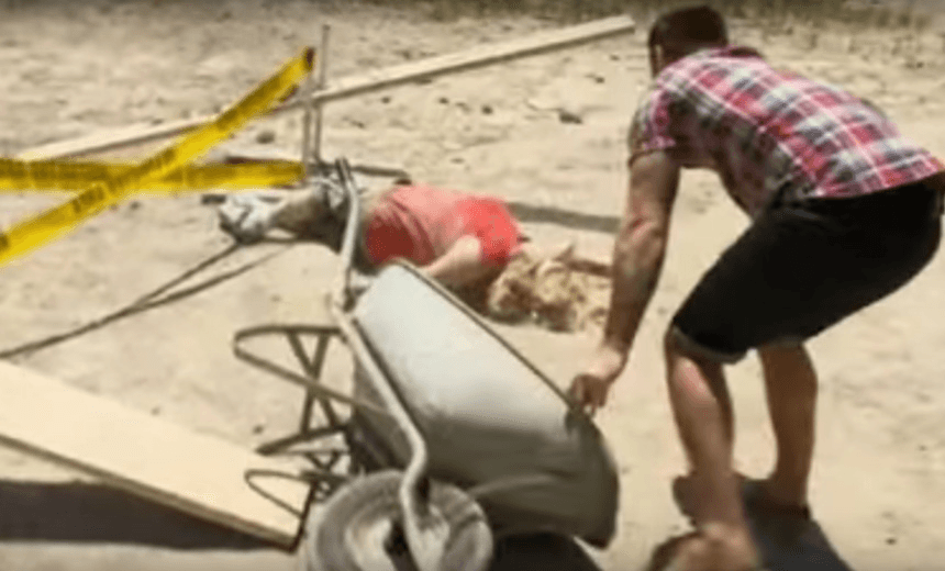 imageedit_685_7013282172