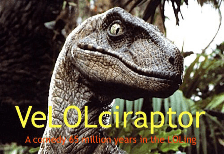 imageedit_1071_8369853362