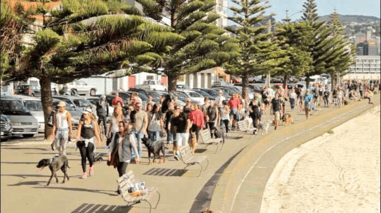 imageedit_1261_2595773220