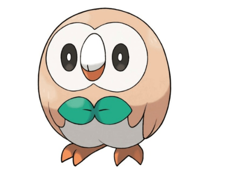 imageedit_1307_2575399950