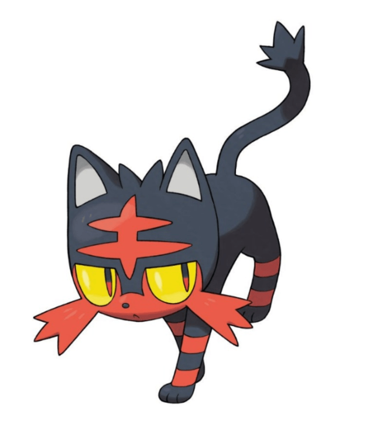 imageedit_1311_7554558083