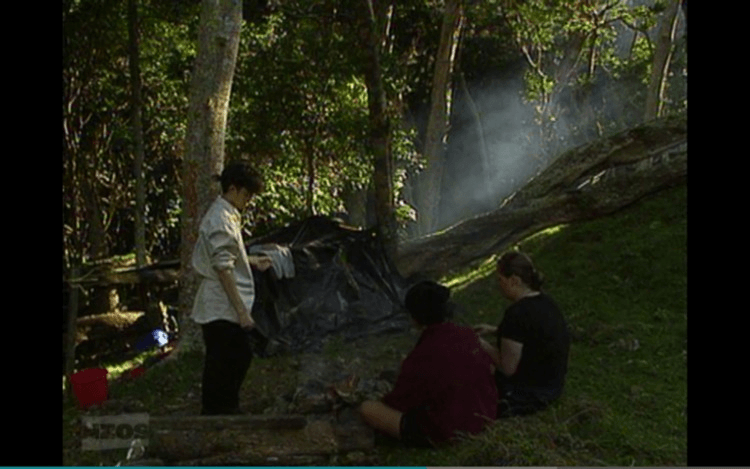 imageedit_5_5731831375