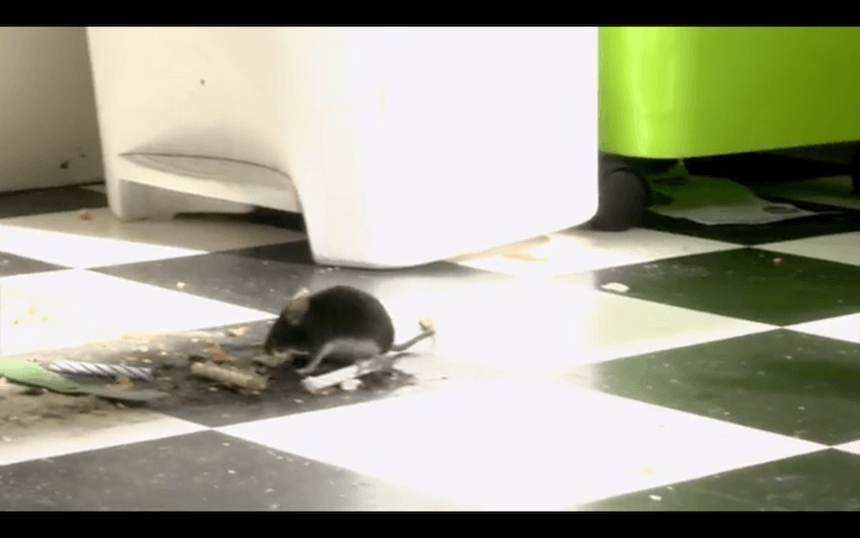 Screen Shot 2016-06-21 at 2.42.59 PM