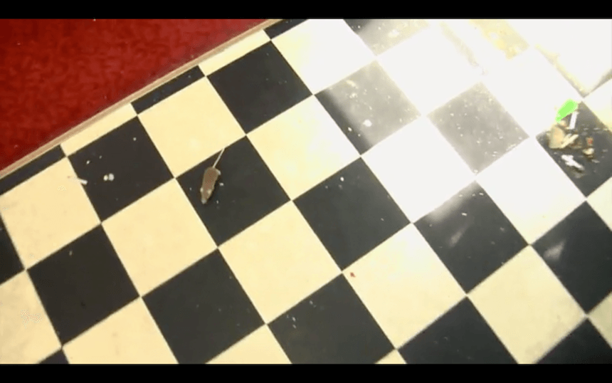 Screen Shot 2016-06-21 at 2.43.32 PM