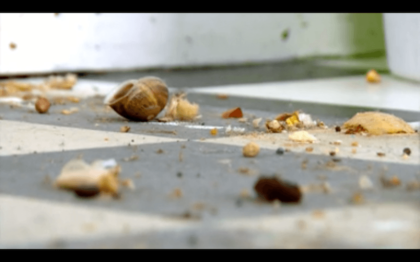 Screen Shot 2016-06-21 at 3.13.53 PM