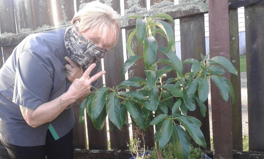 Summer reissue: New Zealand’s absurd gardening ban once again makes us the laughing stock of the Internet