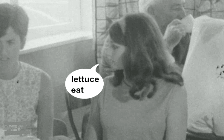 lettuce