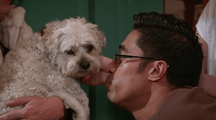 Screen Shot 2016-07-29 at 10.31.39 AM