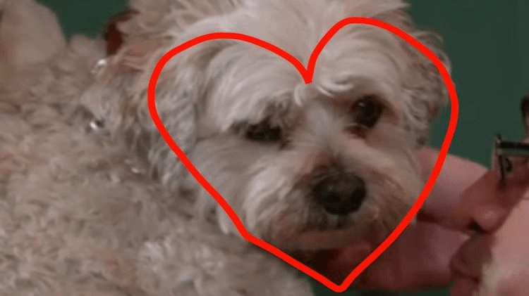 Screen Shot 2016-07-30 at 10.18.25 PM