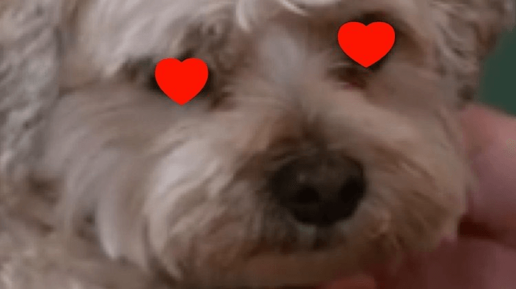 Screen Shot 2016-07-30 at 10.50.01 PM