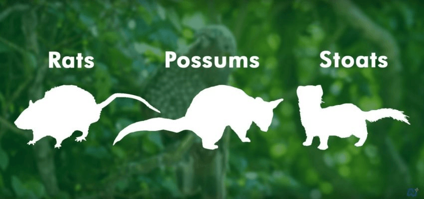 The government names and shames