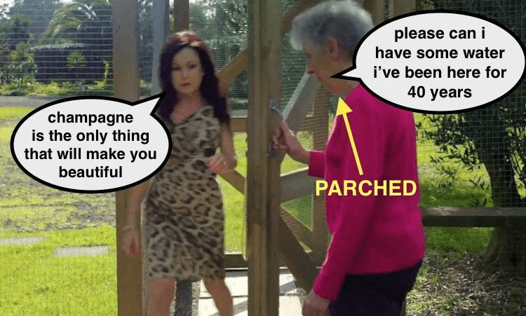 Screen Shot 2016-08-22 at 3.00.10 pm