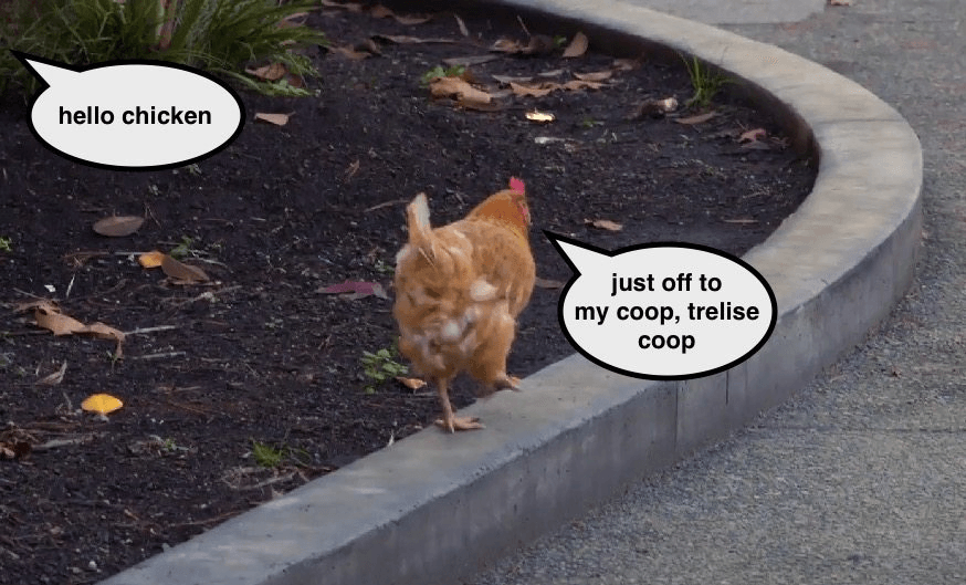 Screen Shot 2016-08-23 at 1.14.44 pm